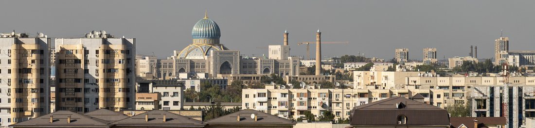 Панорама Ташкента с мечетью и минаретами, фотография Баходира Рахимова